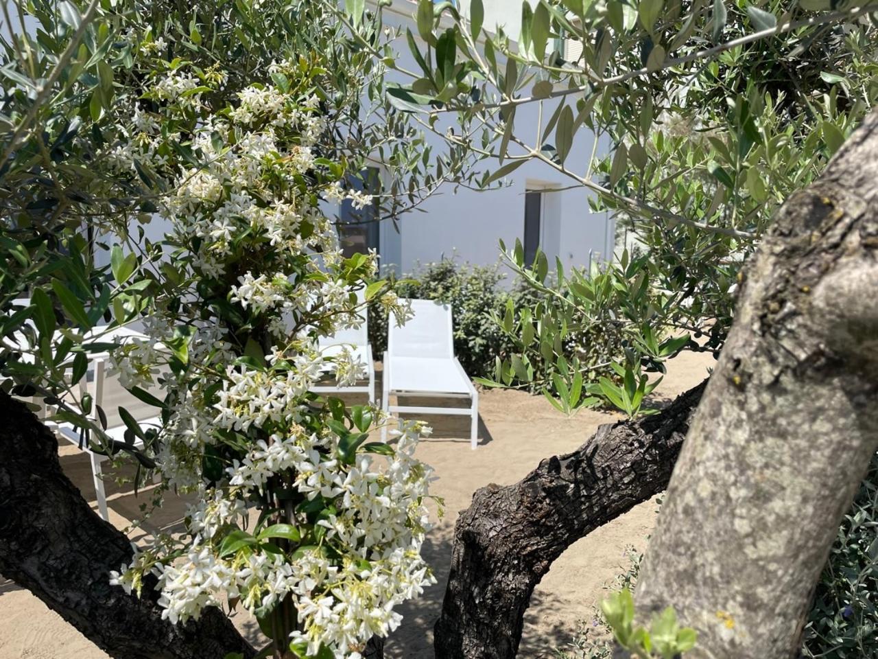 Villa Le Agavi Luxory Beach Surfhouse Bellaria-Igea Marina Exteriér fotografie